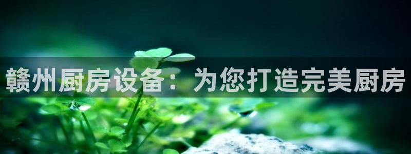 尊龙信息科技有限公司：赣