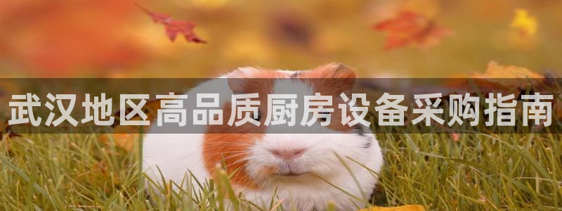 有人在凯时赢过钱吗：武汉
