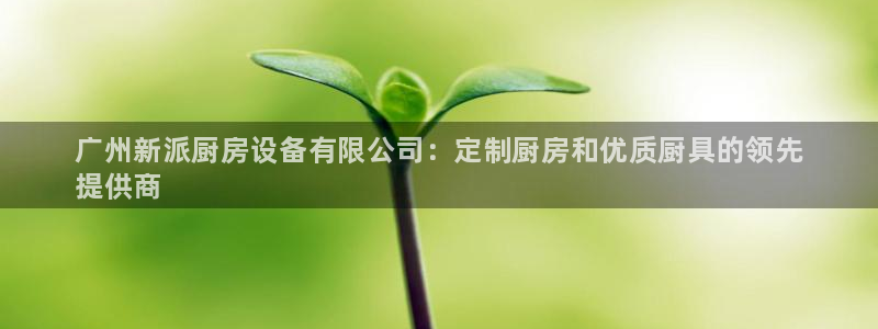 尊龙凯时白家乐Abb下载：广州新派厨房设