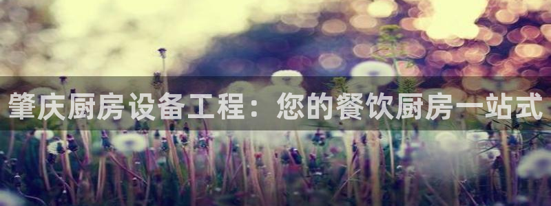 尊龙凯时赞助：肇庆厨房设